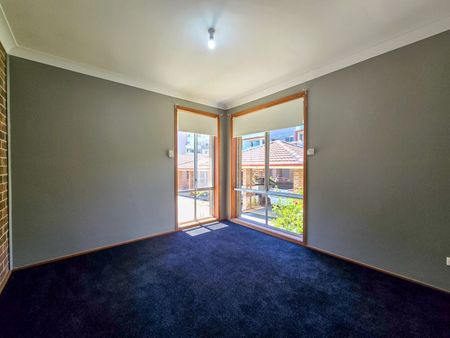 An Abundance of Natural Light - Photo 4