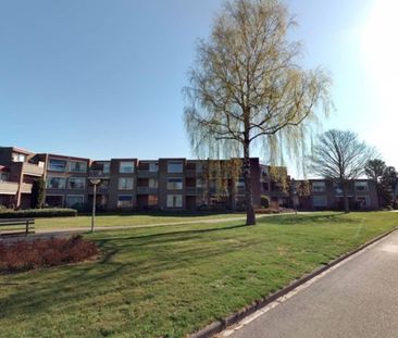 de Swing 36 , Tolbert - Photo 2