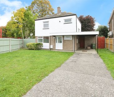 3 bedroom house to rent - Photo 4