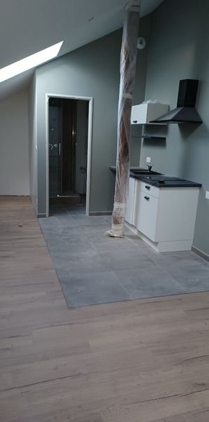 Appartement T1 près de DOGNEVILLE à louer - Photo 1