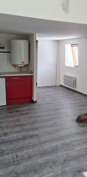 Location Appartement 1 pièce 30m² NANCY 54000 - Photo 1