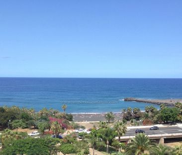 Alquile al lado de la playa, precioso apartamento de 1 dormitorio c... - Photo 5