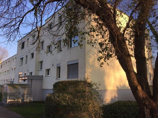 Sonnige 3-Zimmerwohnung an ruhiger Lage - Photo 1