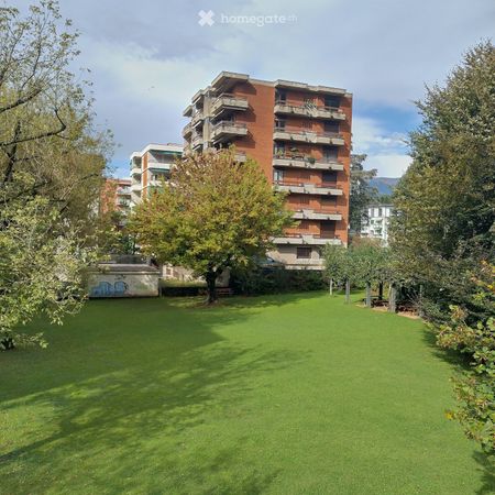 3.5 Zimmer, 100 m² - Foto 4