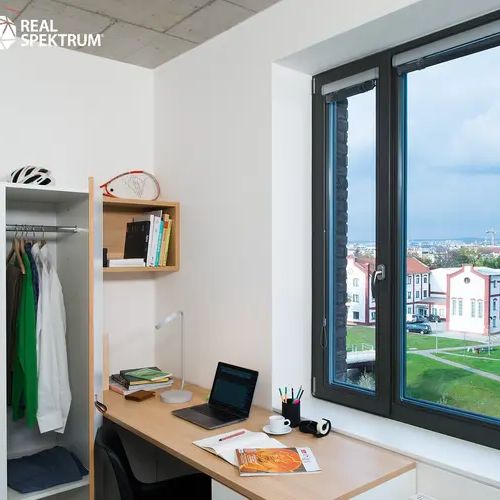 Pronájem moderního bytu 1+kk (Single) u Vaňkovky – BEZ PROVIZE! - Photo 1