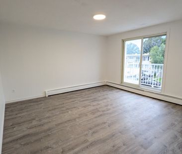 Rue Fréchette, J4J 1G8, Longueuil - Photo 4