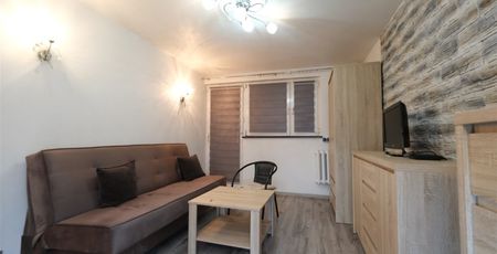 Sosnowiec, Centrum Mieszkanie na wynajem - Photo 3