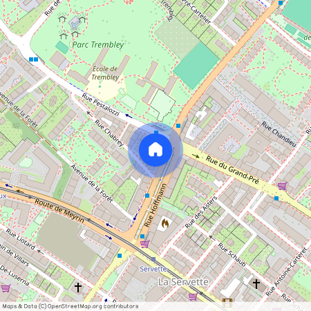 Rue Hoffmann 13, 1202 Genève