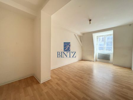 LOCATION APPARTEMENT - 46.59m² - Strasbourg - Photo 3