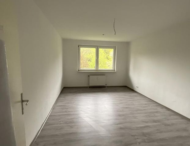 3-Zimmer-Wohnung in Plettenberg - Foto 1