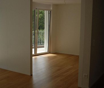Moderne 4.5-Zimmer-Wohnung mit idyllischem Sitzplatz zu vermieten - Foto 1
