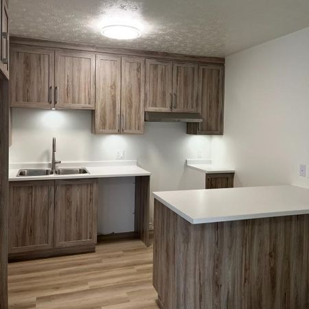 Beau grand 5 1/2 entièrement rénové - Photo 4