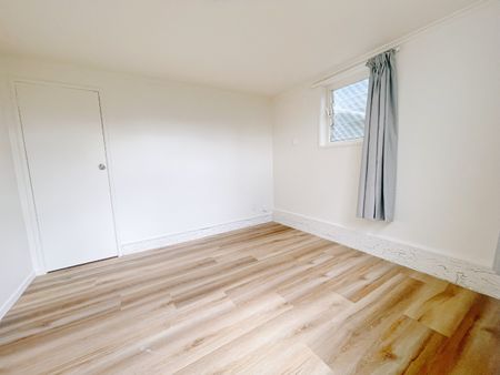 Cozy sunny one bedroom unit in Saint Heliers. - Photo 2