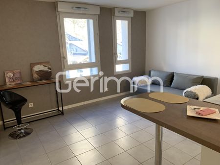 Location Appartement 1 pièce 24,59 m² - Photo 4