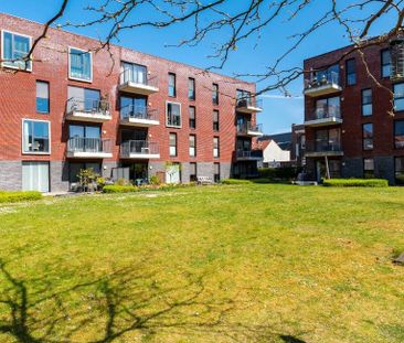 Appartement te huur in Boom voor € 775 met 1 slaapkamer - Foto 4