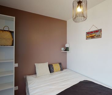 LOMBEZ LEG Roommate 3 Bedrooms at Toulouse - Photo 3