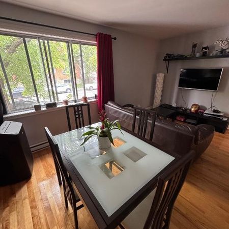 TRÈS GRAND 3 1/2 à louer à Cartierville adj. Ville St-Laurent - Photo 3