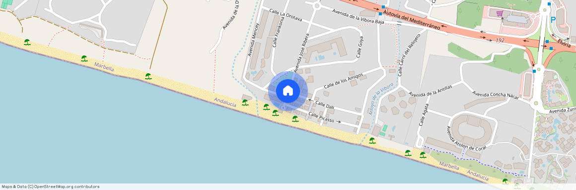 Real de Zaragoza, Marbella