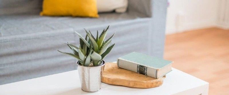 2-Zimmer-Wohnung mit Balkon in Johannstadt sucht Sie! - Foto 1