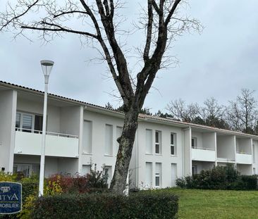 Location Appartement 2 pièces 42m² ST MEDARD EN JALLES 33160 - Photo 4