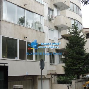 Primaverii, duplex 6 camere, 200mp, garaj - Fotografie 2