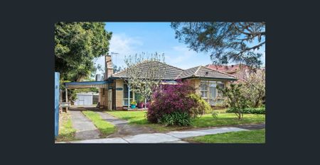 Mid Century Updated and Bright - 3 Bdrm ~ 1 Bath ~ Polished Floorboards and Large yard - Photo 5