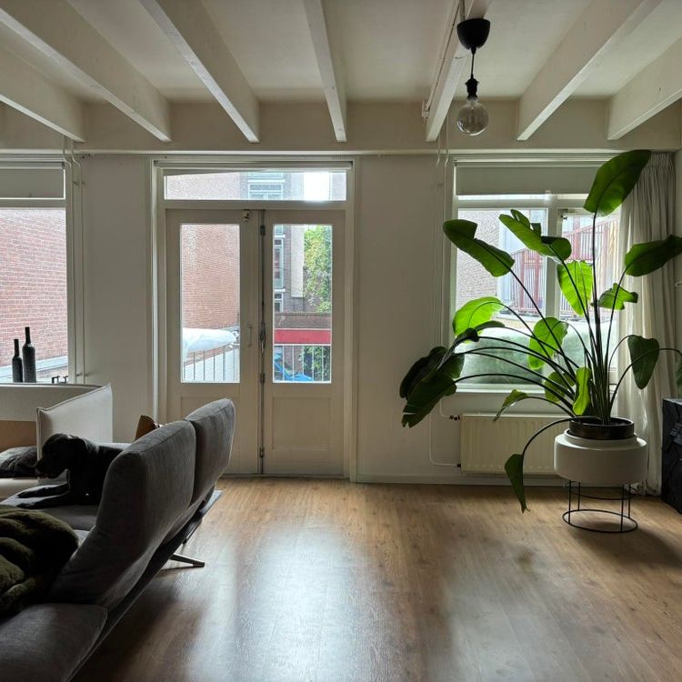 Ruim 3-kamerappartement in het centrum van Den Haag – per 5 juni beschikbaar! - Foto 1