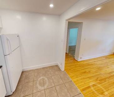 Pet-Friendly Large 1-bedroom in Verdun - Photo 4