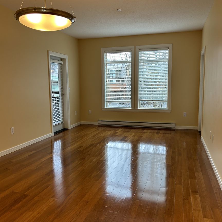 CAROLINE APTS - 212 - CA212 - Photo 1