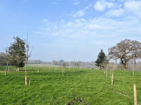 4 bedroom detached house to rent - Photo 1