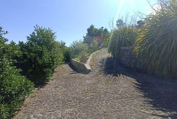 Moradia T4 em Viana do Castelo