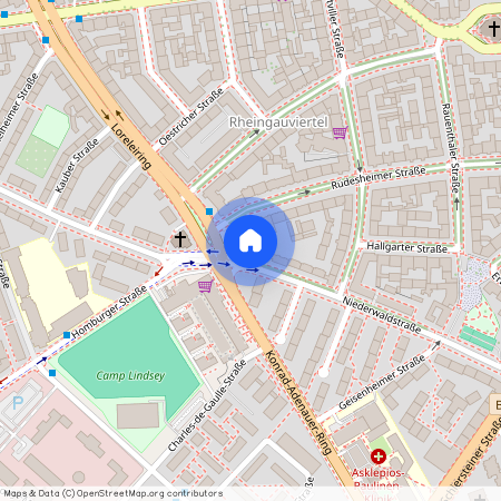 Niederwaldstr. 55, 65197 Hessen - Wiesbaden