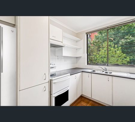 6/492-500 Elizabeth Street, Surry Hills, NSW 2010 - Photo 4