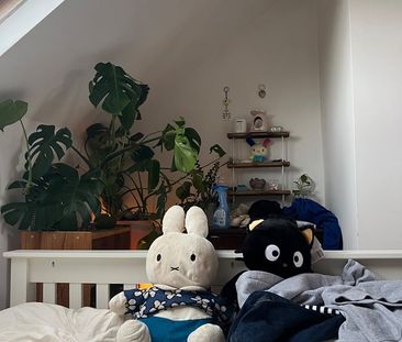 Room in a Shared House, Forres Road, S10 - Photo 4