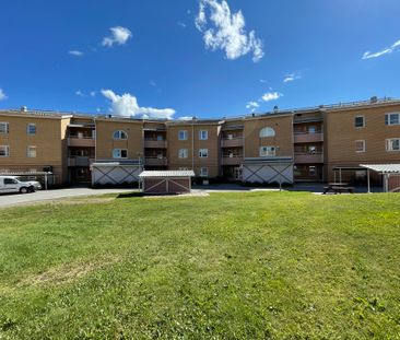 Lyckogränd, Skellefteå - Foto 2