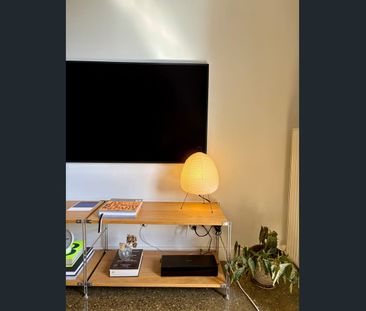 New York Style Fully Furnished Townhouse - Photo 3