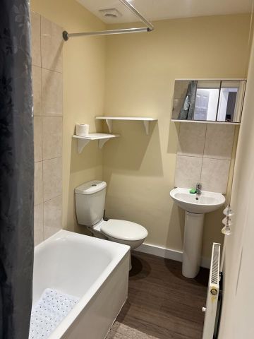 Studio Flat, Leigham Court Road, SW16 - Photo 4