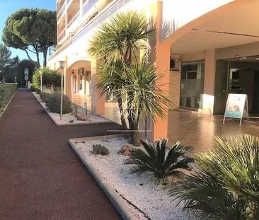 Location Appartement 1 pièce 27m² LE CANNET 06110 - Photo 4