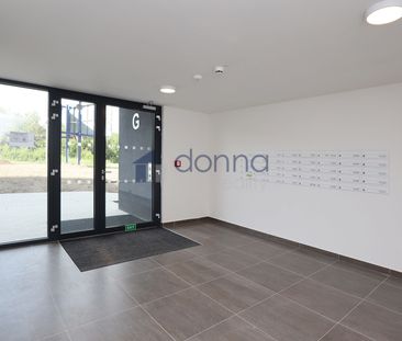 Apartment for rent, 1+KK - Studio, 39m - Photo 2