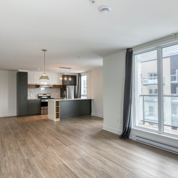 9675 Av. Papineau, app.402, H2B 3C8, H2B 3C8, Montréal - Photo 1