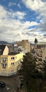 Location Appartement 1 pièce 17m² GRENOBLE 38000 - Photo 3