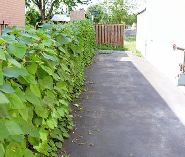 For Lease - 56 Sanford Crescent, Brampton, Ontario - Photo 5