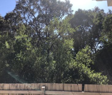 Mount Waverley - Photo 5