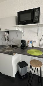 Location Appartement 1 pièce 20m² - Photo 3