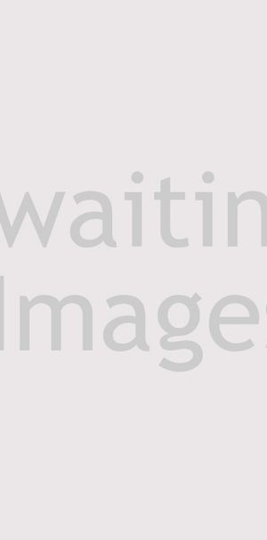 1 bedroom house share to rent - Photo 1