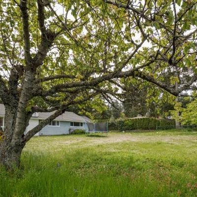 5-Bedroom House for Rent in Nanaimo - Photo 3