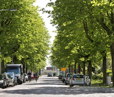 Room Arnhem - Van Oldenbarneveldtstraat - Photo 6