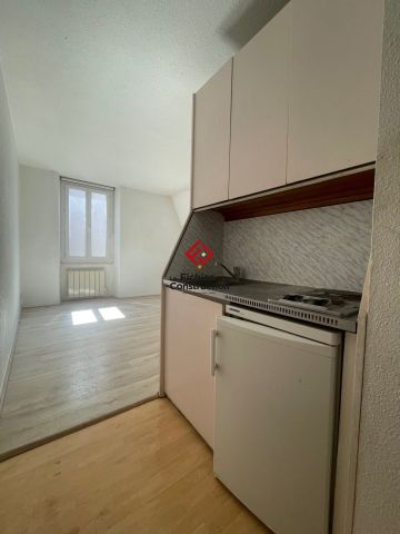 Location Appartement 1 pièce 27m² GRENOBLE 38000 - Photo 3