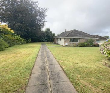3 bedroom detached bungalow to rent - Photo 5