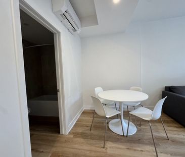 1221 Rue Marie-Anne apartment — Montréal, QC (1-Bedroom) - 1 Bedroom - Photo 5